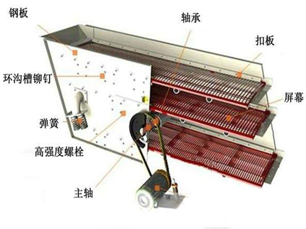 振動篩內部結構